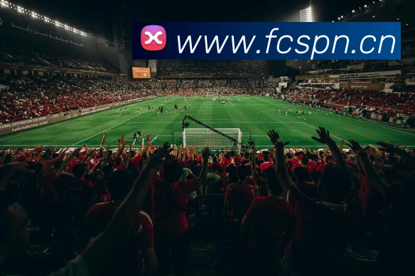 星空官方体育入口平台生态图