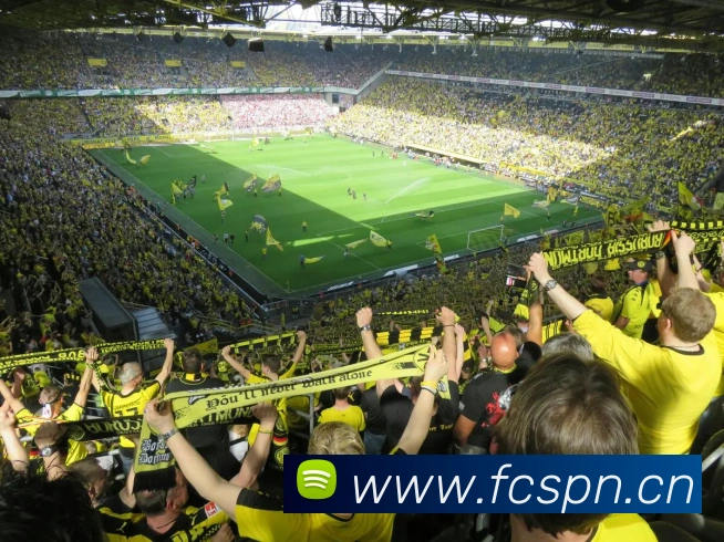 星空官方体育入口全站App